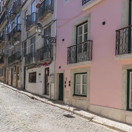 Flor Do Bairro By Lovelystay *